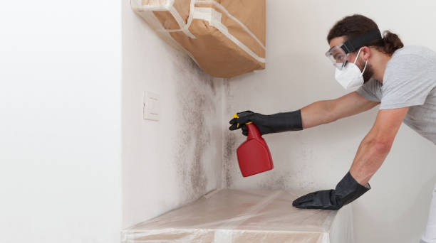 Professional Crawl Space Mold Remediation technician working in Juliustown, NJ